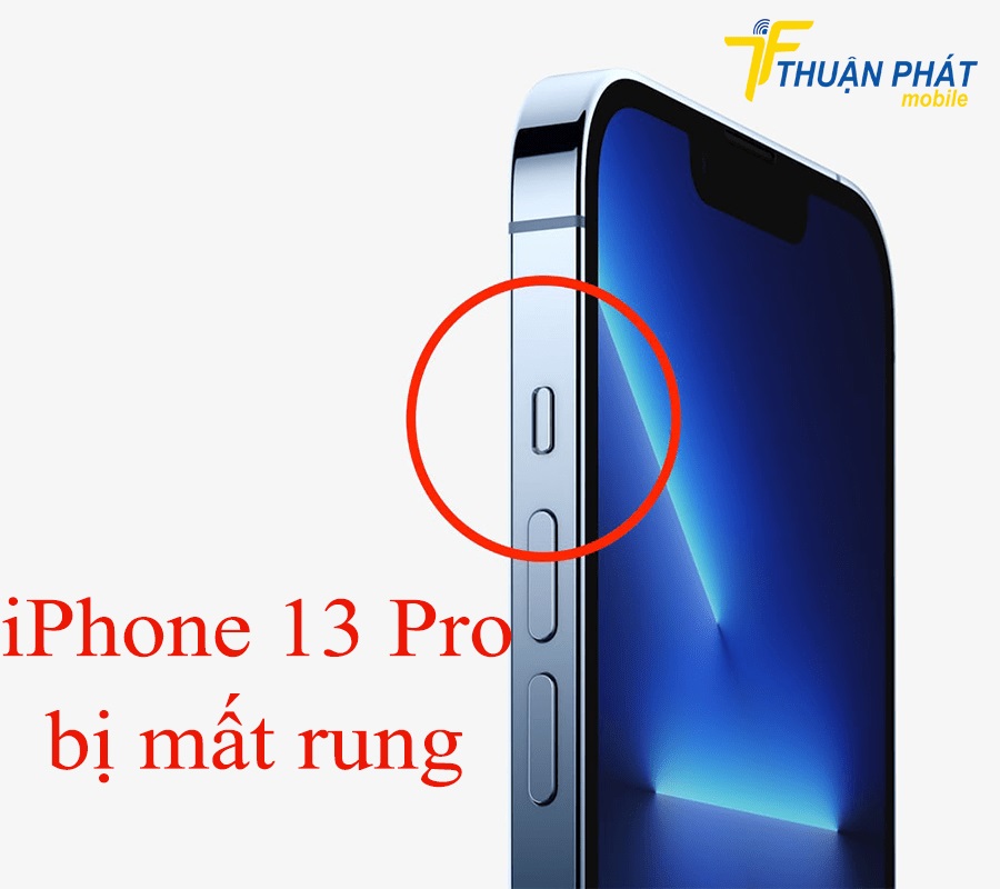 iPhone 13 Pro bị mất rung