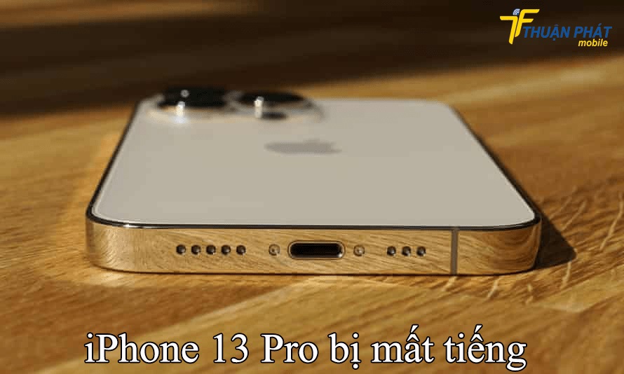 iPhone 13 Pro bị mất tiếng