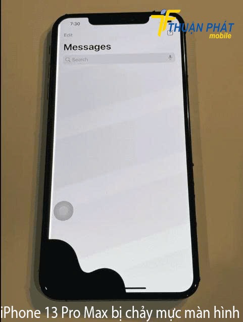 iPhone 13 Pro Max bị chảy mực iPhone 13 Pro Max bị chảy mực