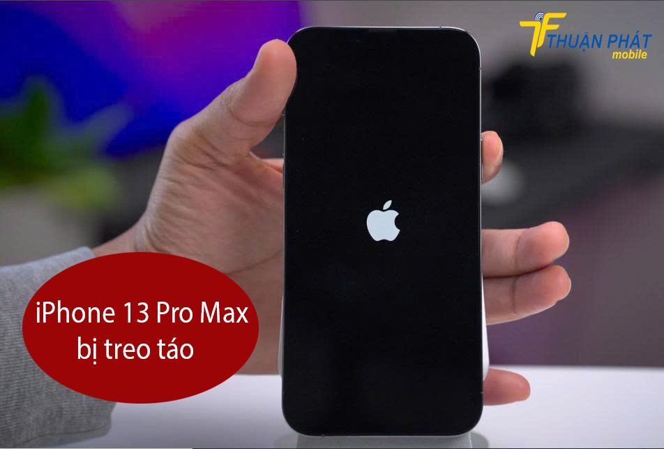 iPhone 13 Pro Max bị treo táo
