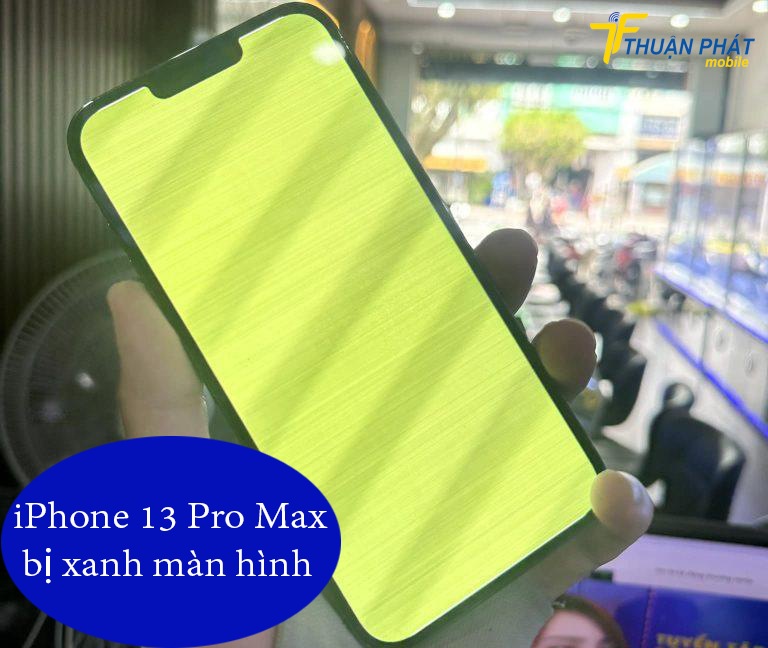iPhone 13 Pro Max bị xanh màn hình