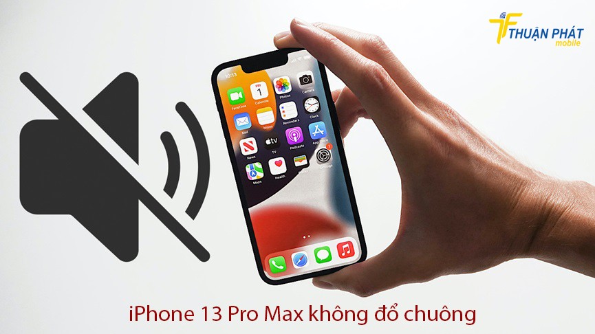 iPhone 13 Pro Max không đổ chuông iPhone 13 Pro Max không đổ chuông