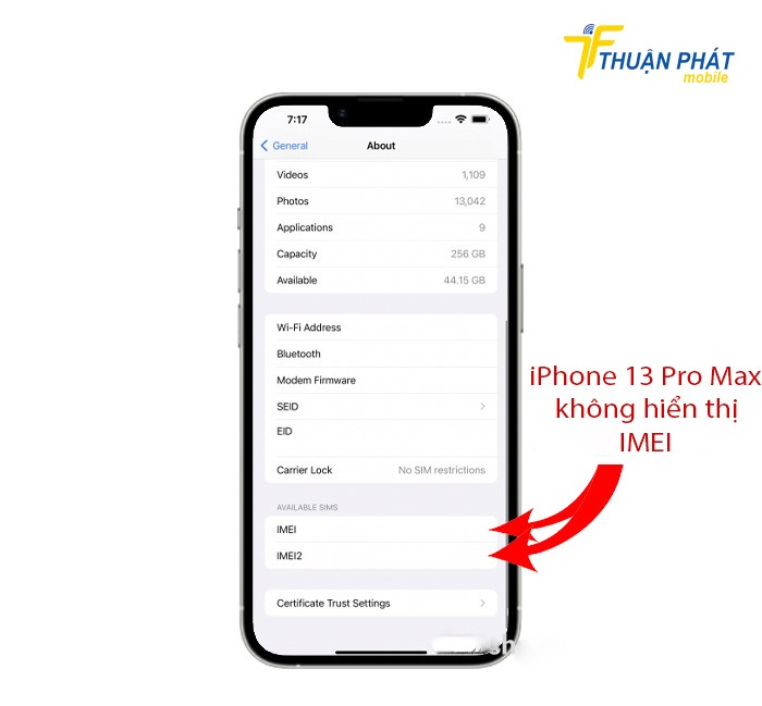 iPhone 13 Pro Max không hiển thị imei