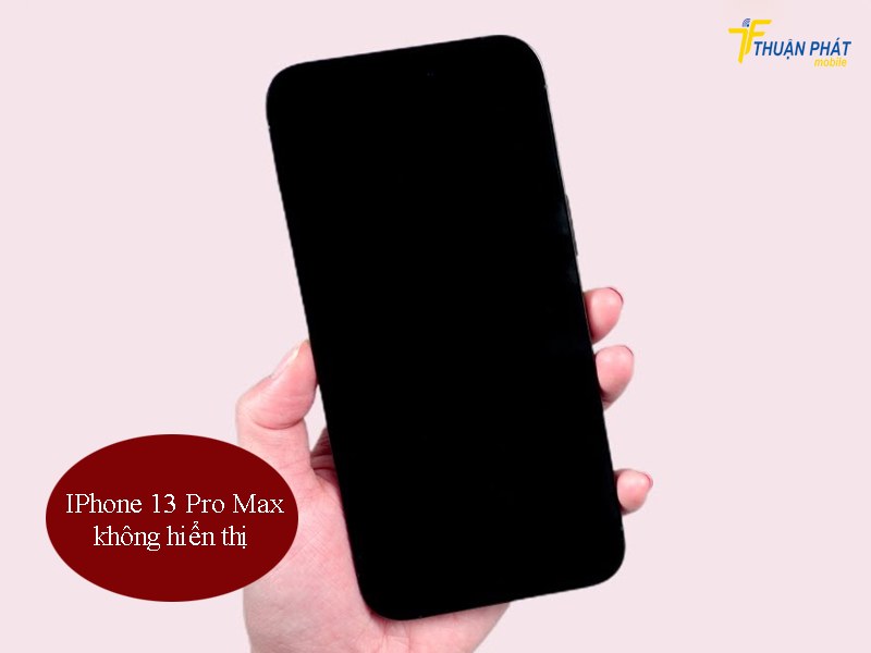 iPhone 13 Pro Max không hiển thị
