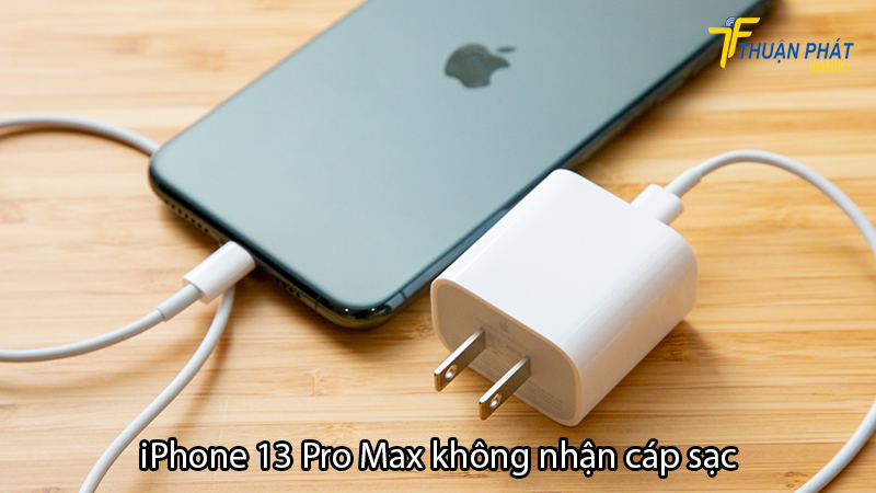 iPhone 13 Pro Max không nhận cáp sạc