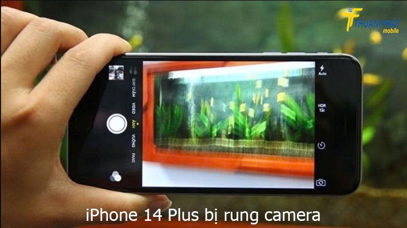 iPhone 14 Plus bị rung camera iPhone 14 Plus bị rung camera