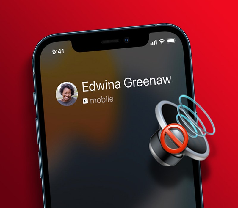 iPhone 14 Plus không đổ chuông