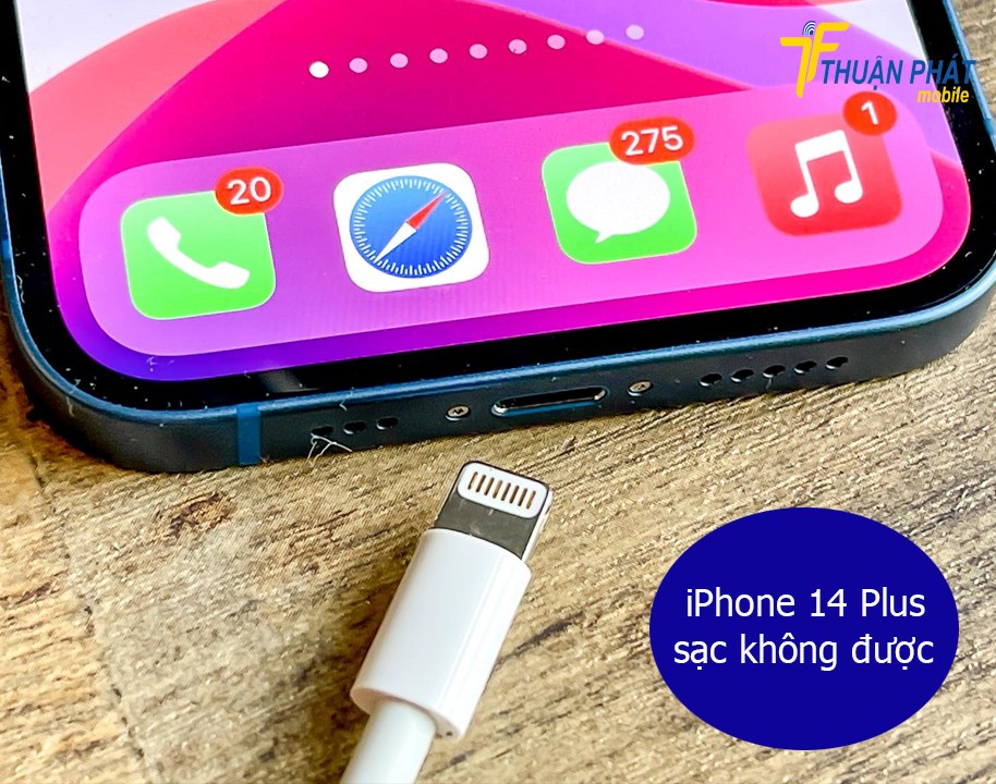 iPhone 14 Plus sạc không được