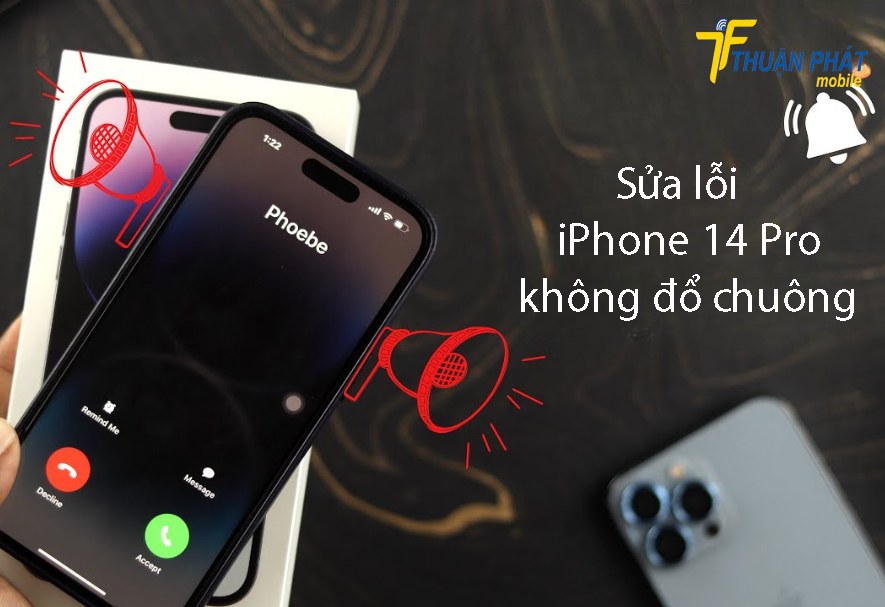 iPhone 14 Pro không đổ chuông