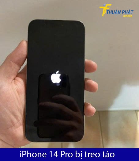 iPhone 14 Pro bị treo táo iPhone 14 Pro bị treo táo