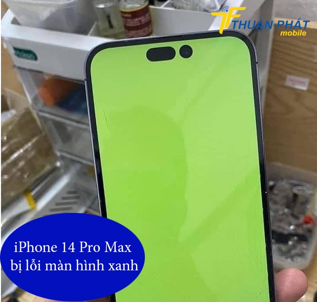 iPhone 14 Pro Max bị lỗi màn hình xanh