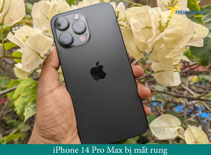 iPhone 14 Pro Max bị mất rung