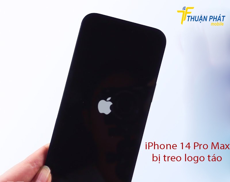 iPhone 14 Pro Max bị treo logo táo iPhone 14 Pro Max bị treo logo táo