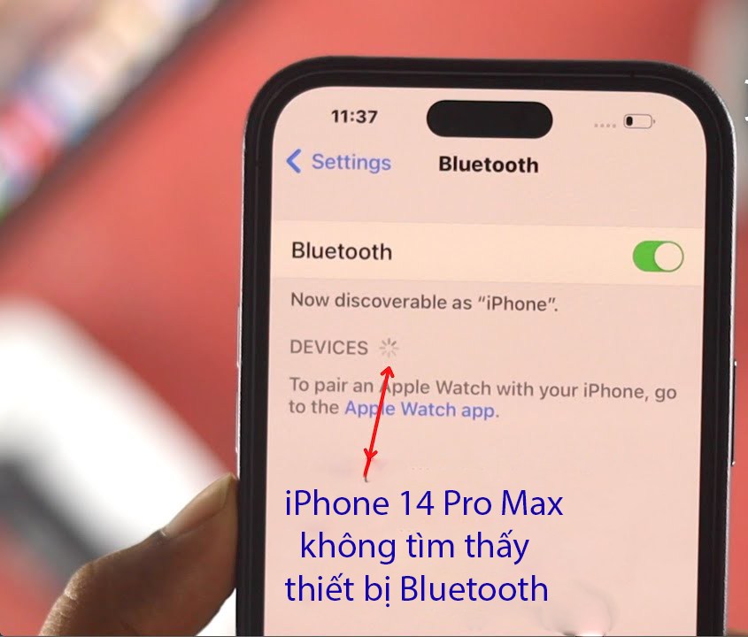 iPhone 14 Pro Max không tìm thấy thiết bị Bluetooth