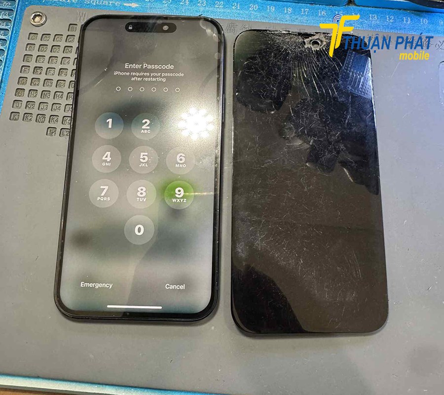 iPhone 15 Pro bị bể màn hình