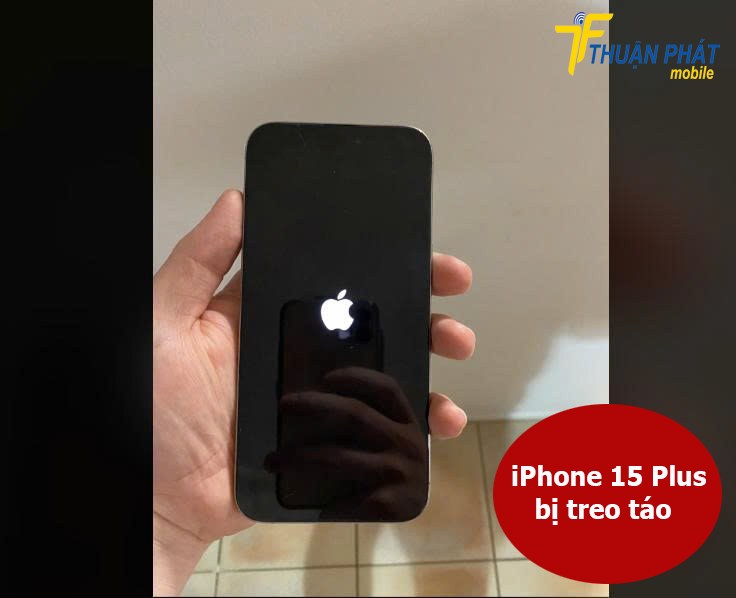 iPhone 15 Plus bị treo táo
