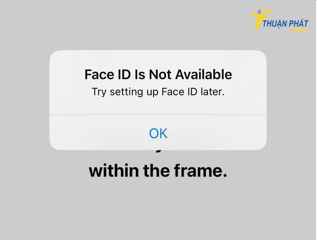 iPhone 15 Plus không nhận khuôn mặt