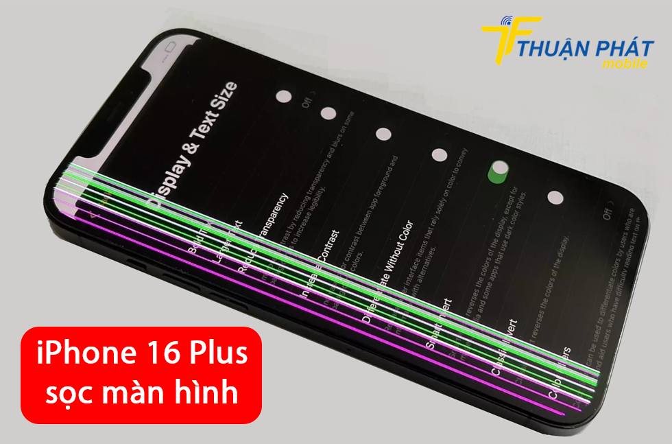 iPhone 16 Plus sọc màn hình