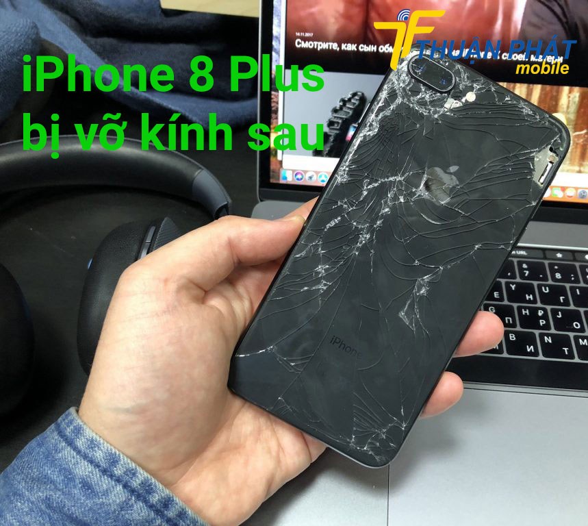 iPhone 8 Plus bị vỡ kính sau