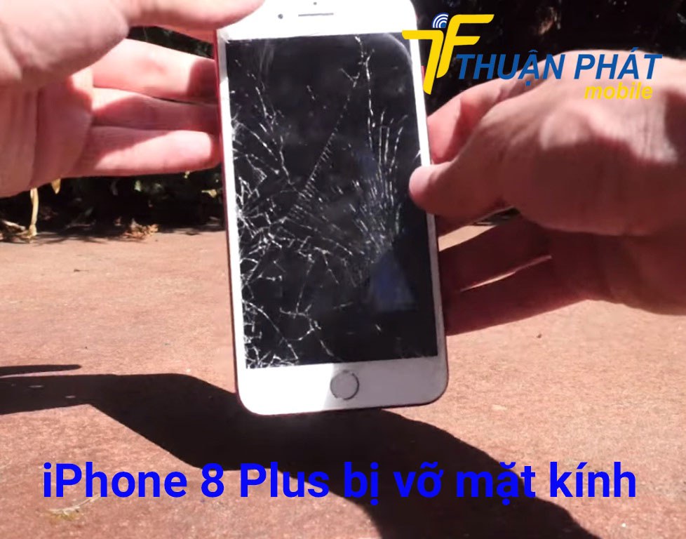 iPhone 8 Plus bị vỡ mặt kính