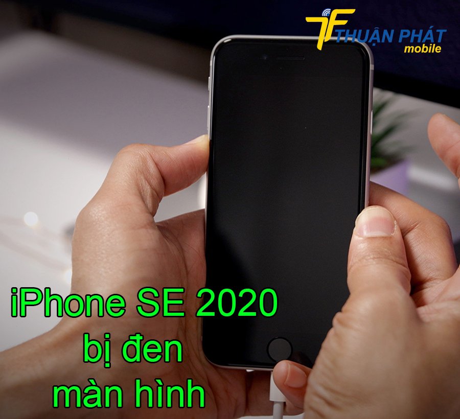 iPhone SE 2020 bị đen màn hình