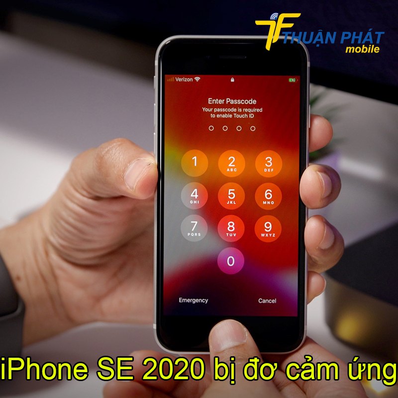 iPhone SE 2020 bị đơ cảm ứng