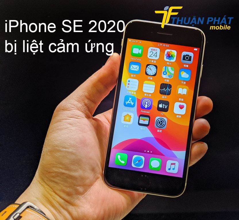 iPhone SE 2020 bị liệt cảm ứng
