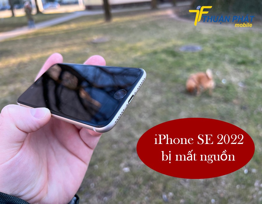 iPhone SE 2022 bị mất nguồn