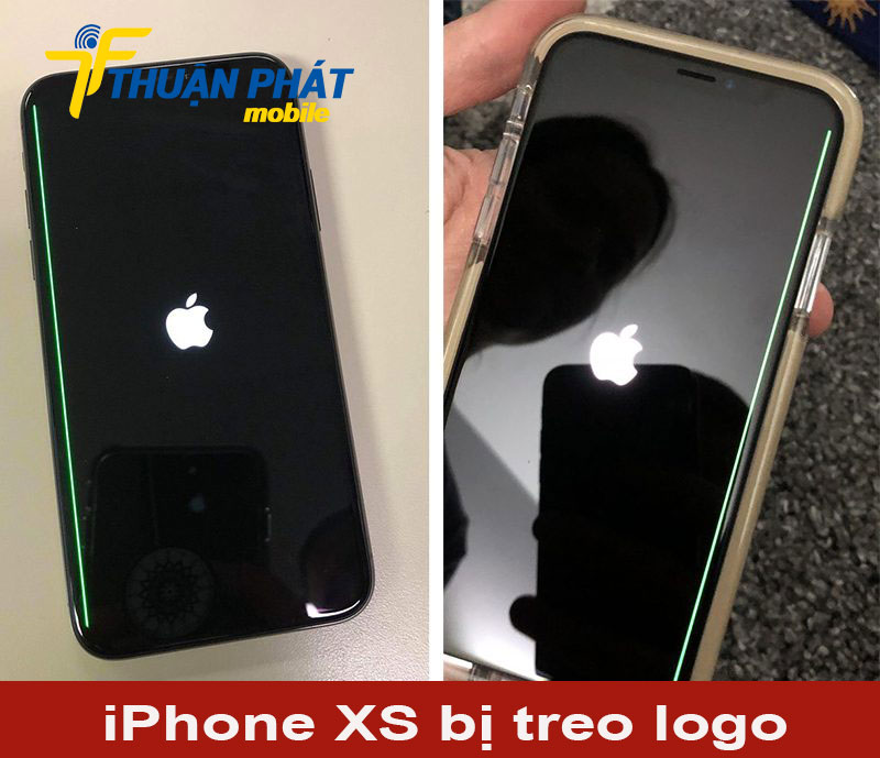 iPhone XS bị treo logo