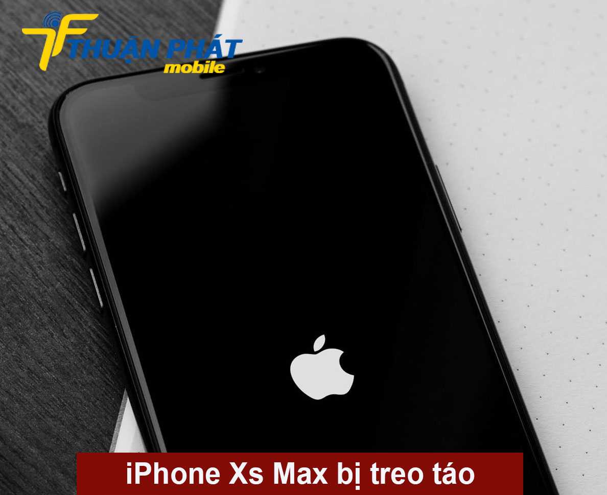 iPhone Xs Max bị treo táo