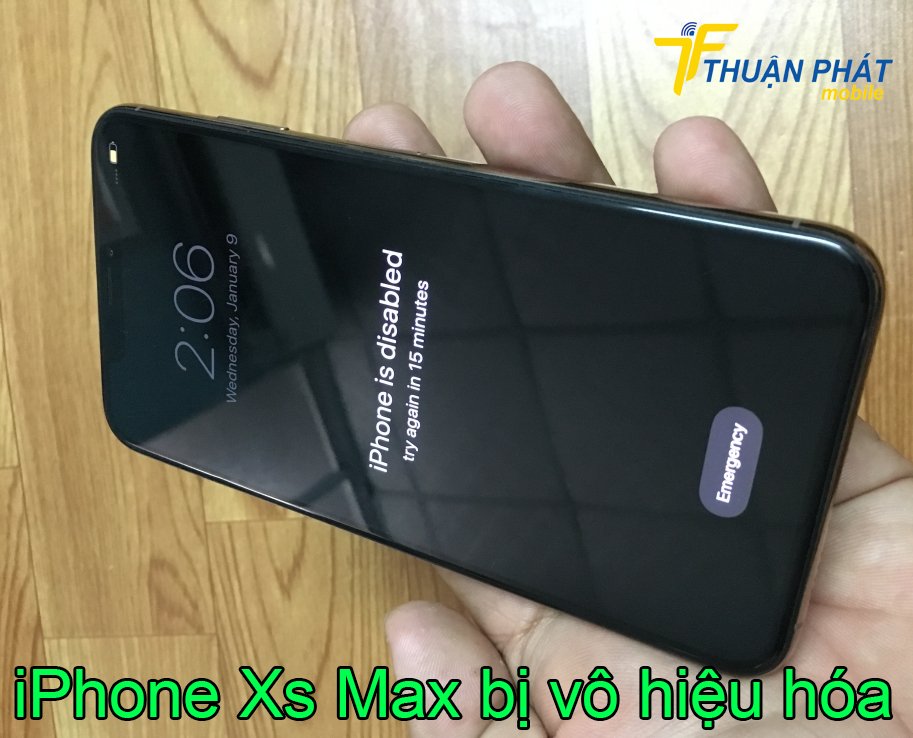 iPhone Xs Max bị vô hiệu hóa
