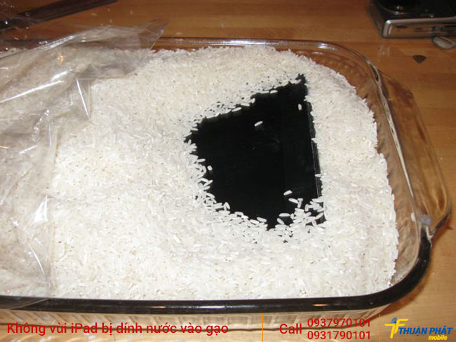 Không vùi ipad bị dính nước vào gạo
