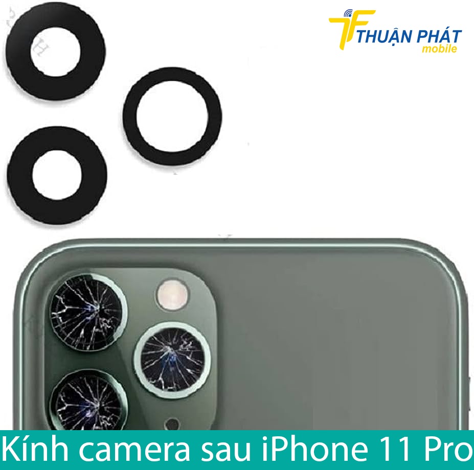 Kính camera sau iPhone 11 Pro