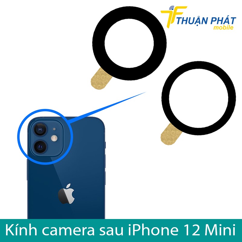 Kính camera sau iPhone 12 Mini
