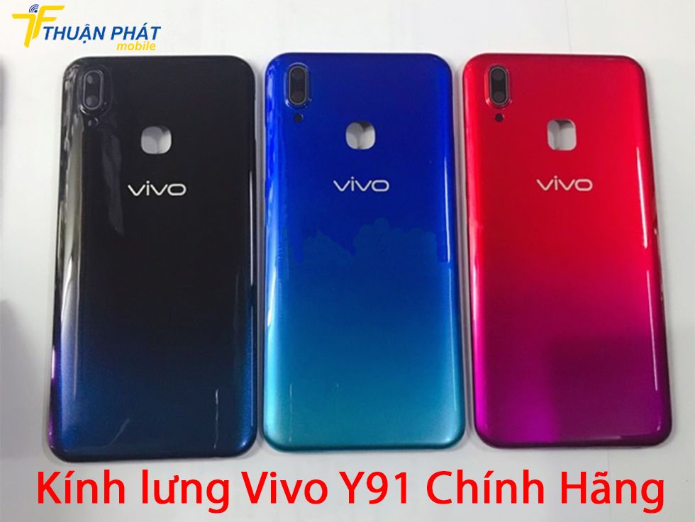 Kính lưng Vivo Y91 chính hãng
