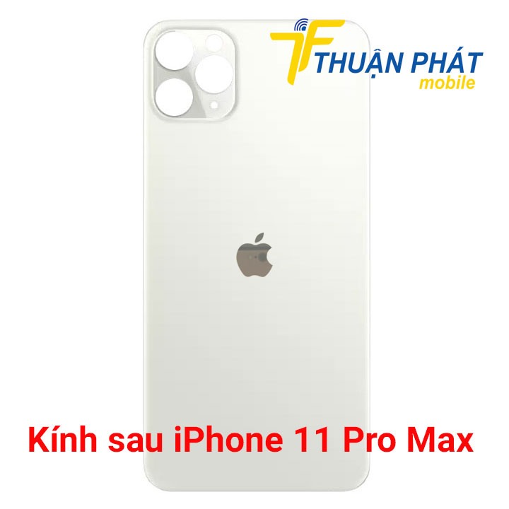 Kính sau iPhone 11 Pro Max chính hãng