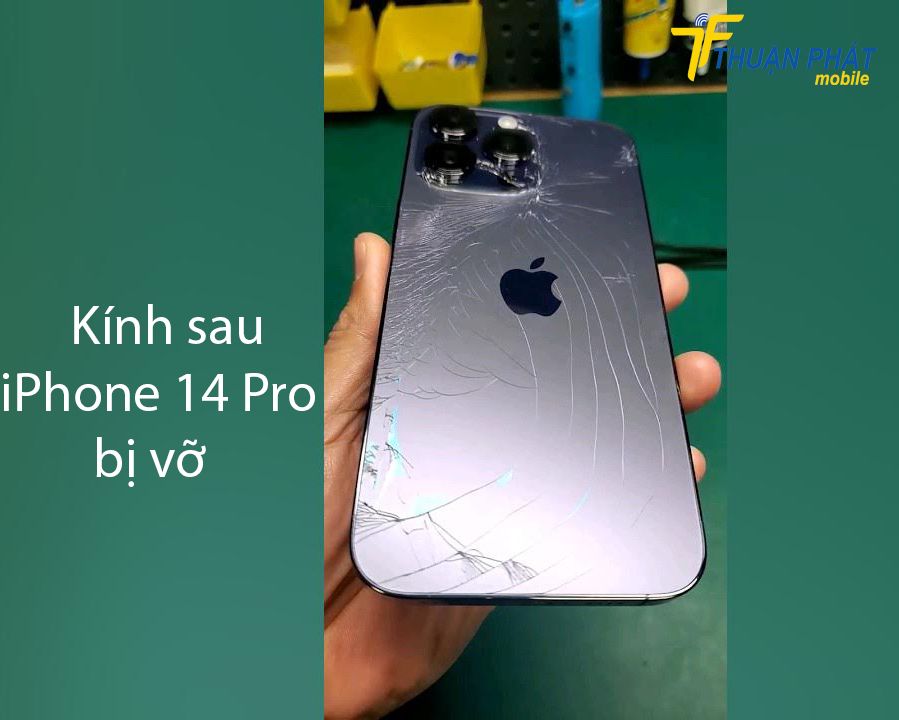Kính sau iPhone 14 Pro bị vỡ
