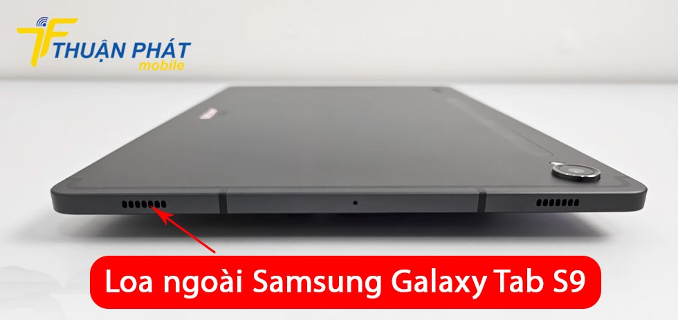 Loa ngoài Samsung Galaxy Tab S9