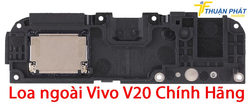 Loa ngoài Vivo V20 chính hãng