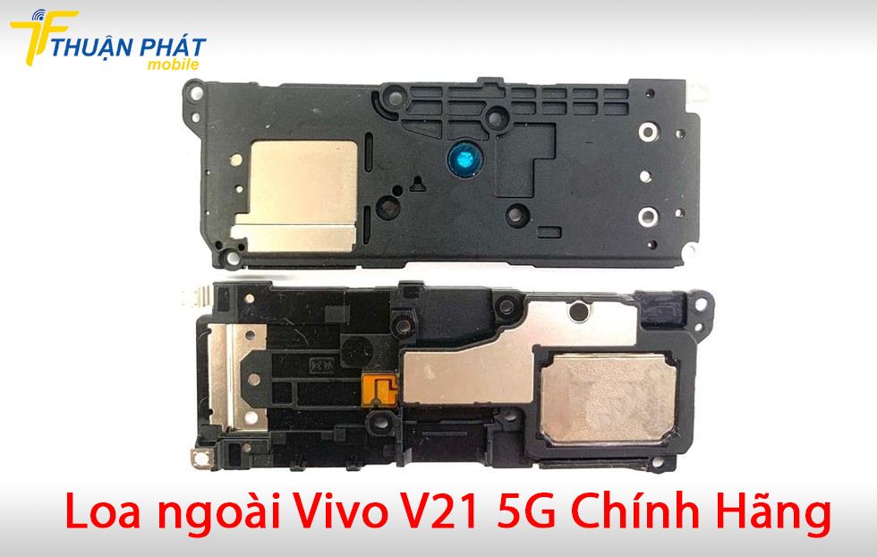 Loa ngoài Vivo V21 5G chính hãng