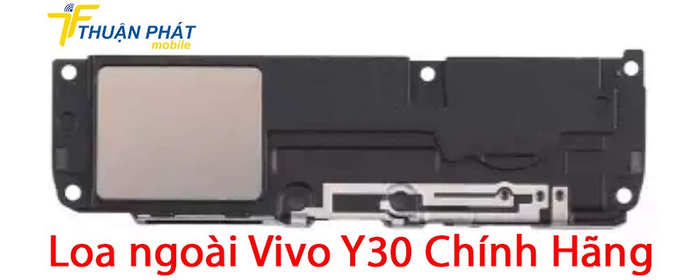 Loa ngoài Vivo Y30 chính hãng