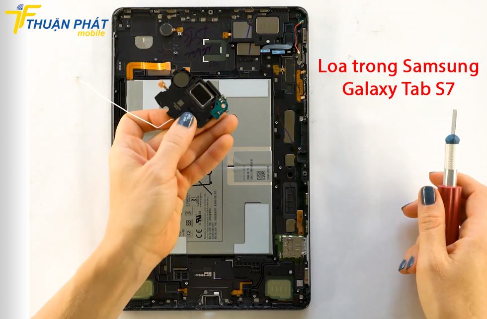 Loa trong Samsung Galaxy Tab S7