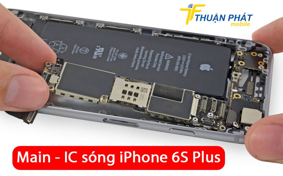 Main - IC sóng iPhone 6S Plus