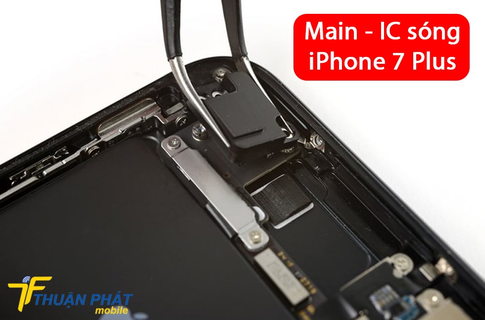 Main - IC sóng iPhone 7 Plus