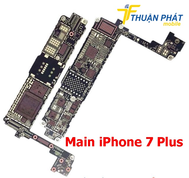 Main iPhone 7 Plus