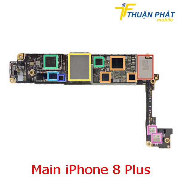 Main iPhone 8 Plus