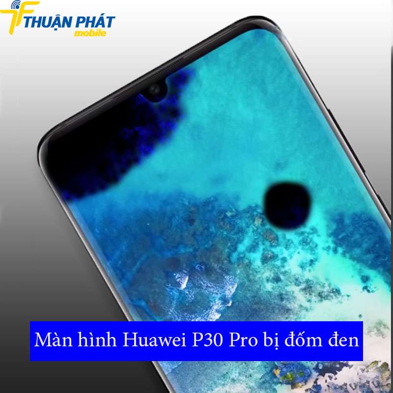 Màn hình Huawei P30 Pro bị đốm đen