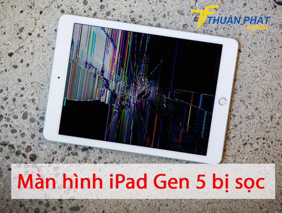 Màn hình iPad Gen 5 bị sọc