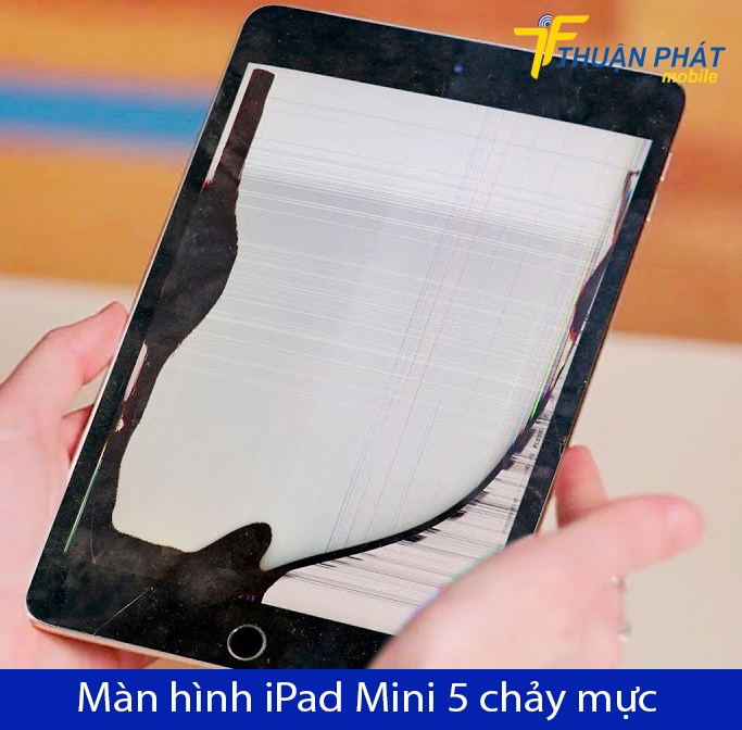 Màn hình iPad Mini 5 chảy mực