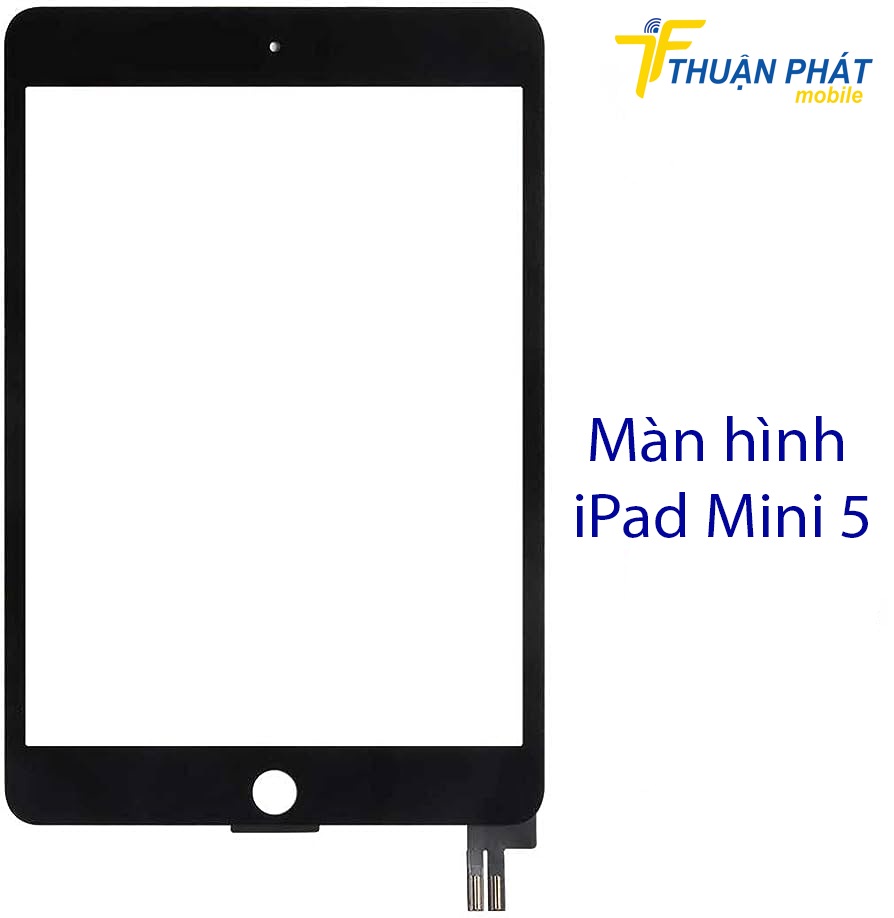 Màn hình iPad Mini 5